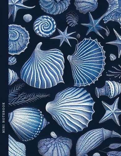Notatnik 128x165/64K kratka muszle FRESH, Fresh