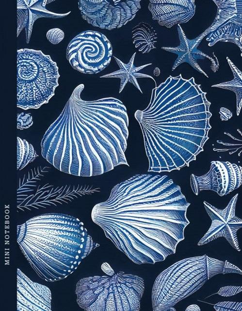 Notatnik 128x165/64K kratka muszle FRESH, Fresh