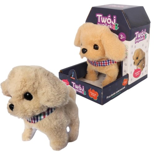 Twój pupilek piessek, Askato