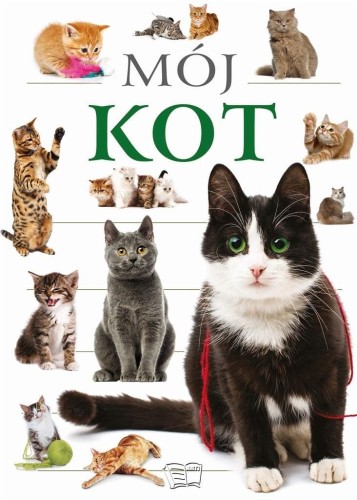 Mój kot, praca zbiorowa