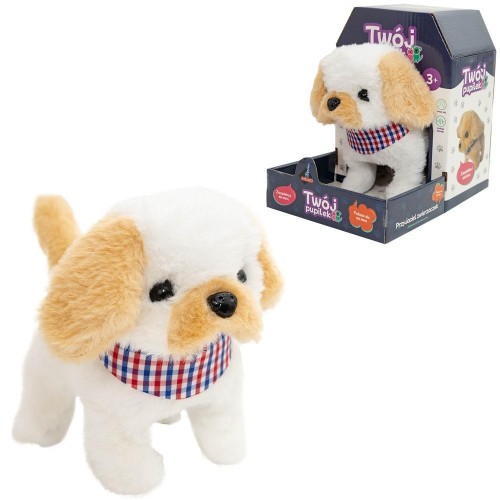 Twój pupilek piesek, Askato