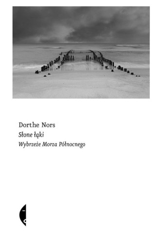 Słone łąki. Wybrzeże Morza Północnego, Dorthe Nors