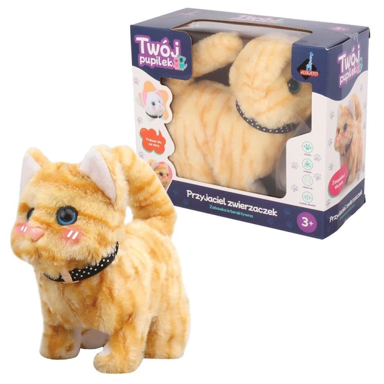 Twój pupilek kotek brązowy, Askato