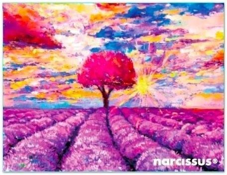 Teczka kopertowa PP A7 Lawenda, Narcissus