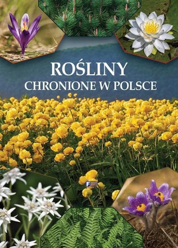 Rośliny chronione w Polsce, praca zbiorowa