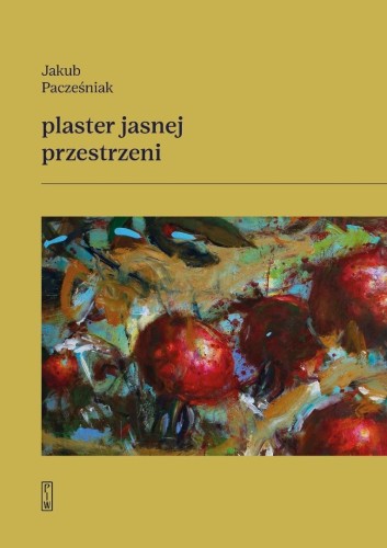 Plaster jasnej przestrzeni, Jakub Pacześniak