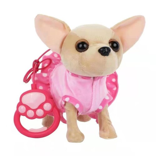 Piesek chodzący chihuahua, Askato