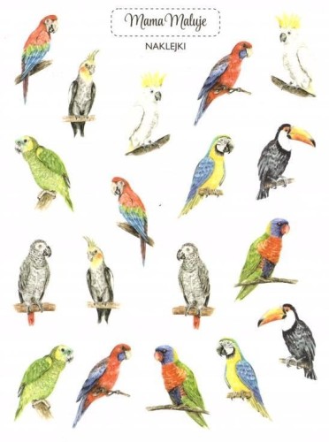 Naklejki Papugi, Mama Maluje