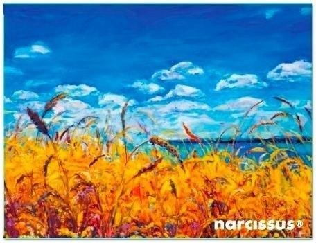 Teczka kopertowa PP A6 Niebo, Narcissus