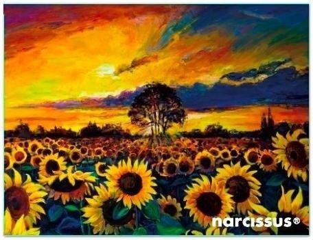 Teczka kopertowa PP A6 Słoneczniki, Narcissus