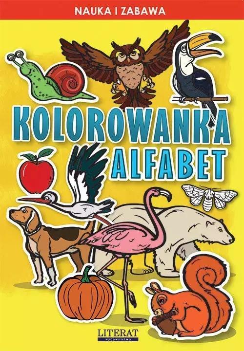 Kolorowanka alfabet, Krzysztof Tonder
