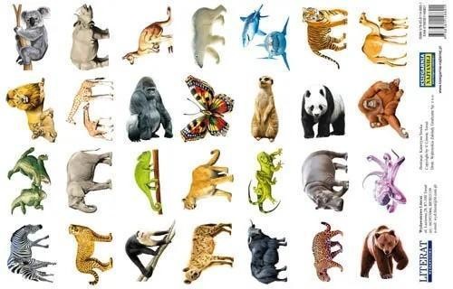 Naklejki. Zwierzęta świata, LITERAT
