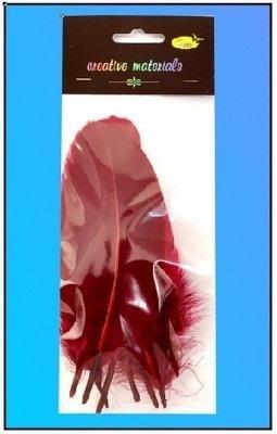 Piórka twarde bordowe 10szt, Galeria Hobby