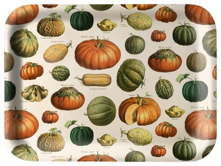 Tacka kuchenna ozdobna Dynie, Skona Ting