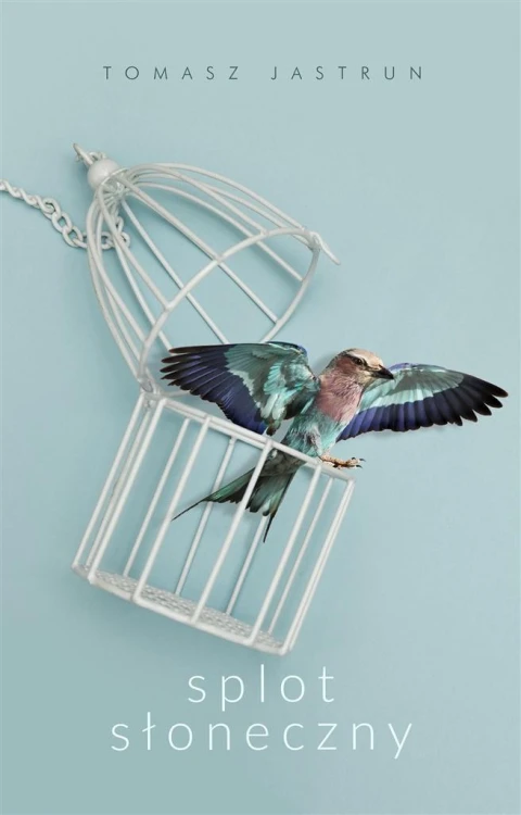 Splot słoneczny, Tomasz Jastrun