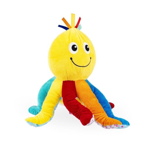 Wędrująca ośmiornica, Dante