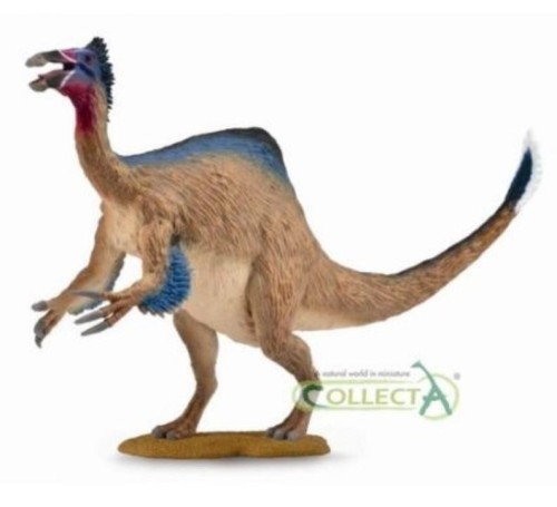 Dinozaur Deinocheir, Collecta