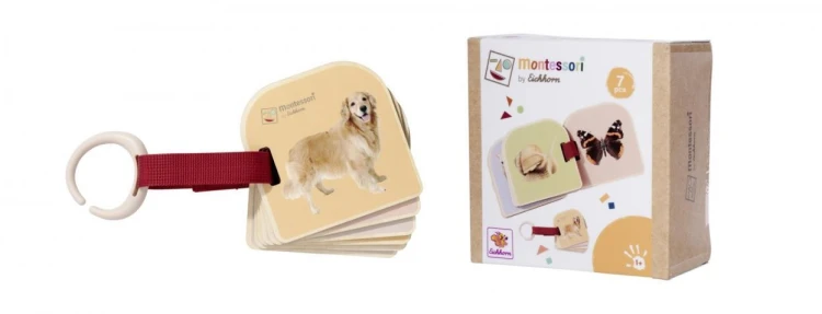 Montessori Książeczka z obrazkami, Eichhorn