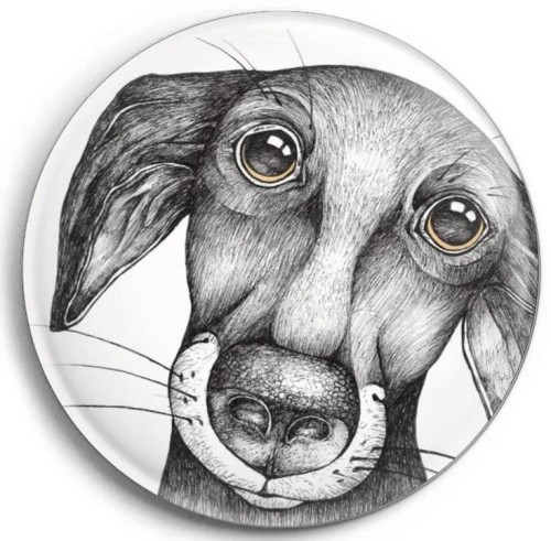 Magnes Pies Jurgen, Ligarti