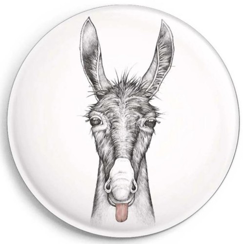 Magnes Osioł, Ligarti