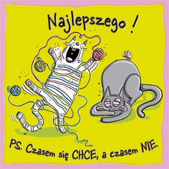 Karnet KW Kotki i psotki