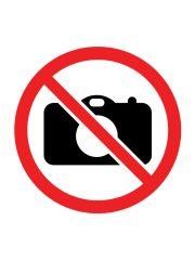 Origami 3D - Truskawka ALEX, Alexander