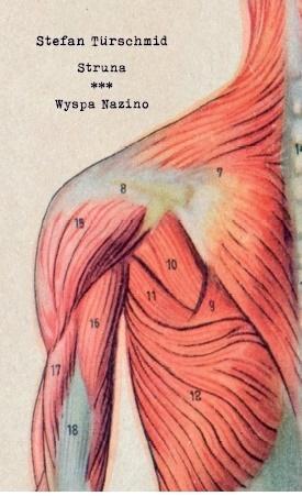 Struna/ Wyspa Nazino, Stefan Turschmid