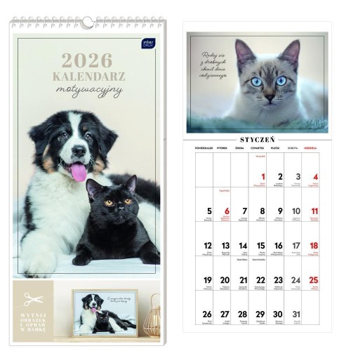 Kalendarz 2026 motywacyjny 22x46cm Zwierzaki