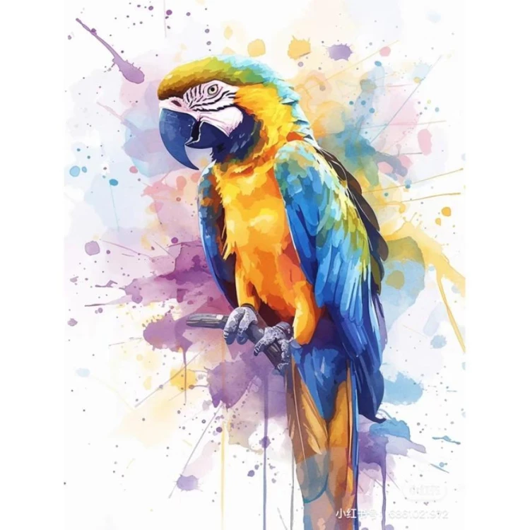 Malowanie po numerach 40x50cm Papuga, Koh-I-Noor