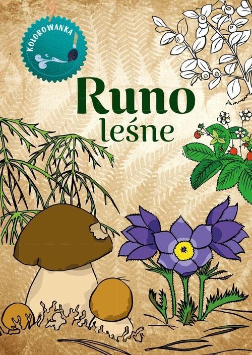 Kolorowanka. Runo Leśne, Katarzyna Kopiec Sekieta