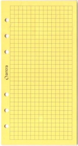 Wkład do organizera ST/kratka żółta, Antra