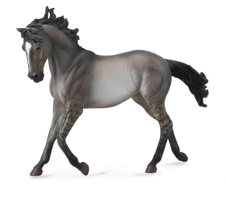 Koń Mustang Mare-Grulla, Collecta