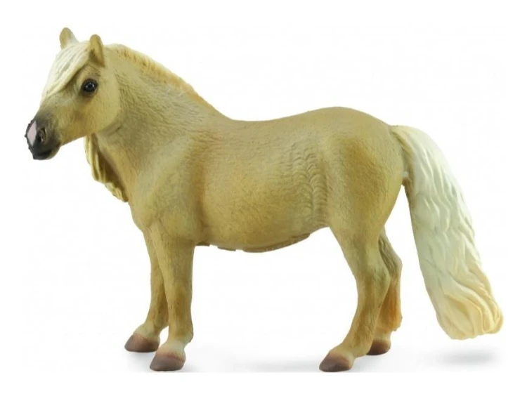Klacz Falabella Mare Palomino, Collecta