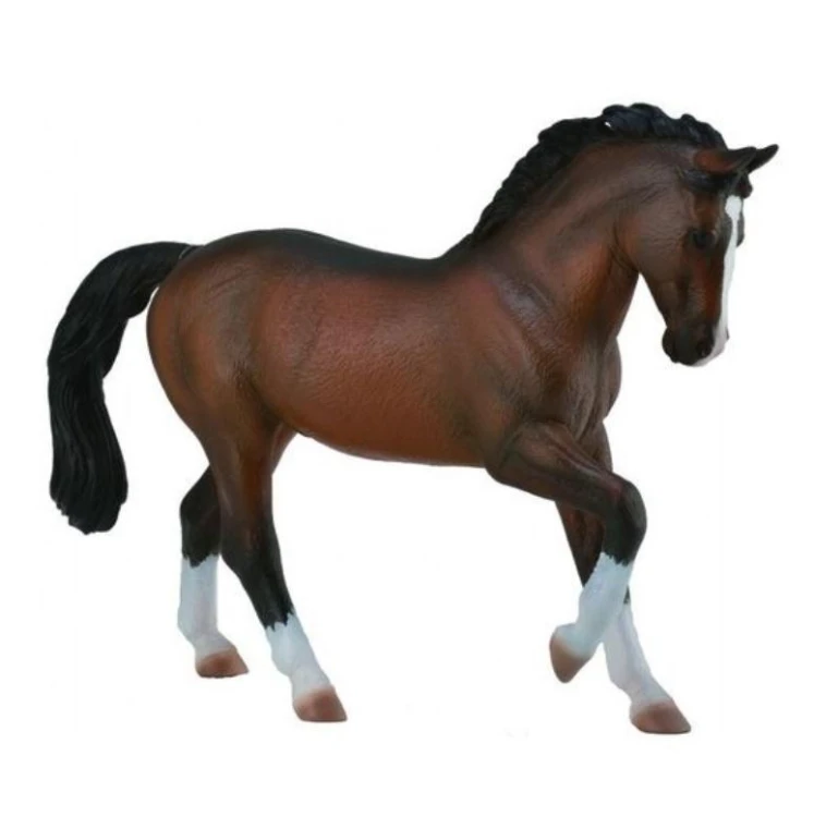 Ogier Warmblood Stallion Bay, Collecta