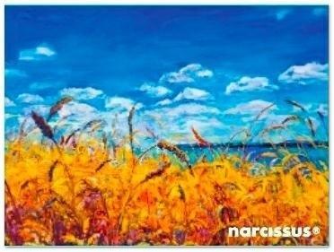 Teczka kopertowa PP A7 Niebo, Narcissus