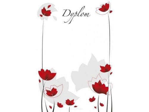 Dyplom dziecięcy A4/20ark. Maki, Beniamin