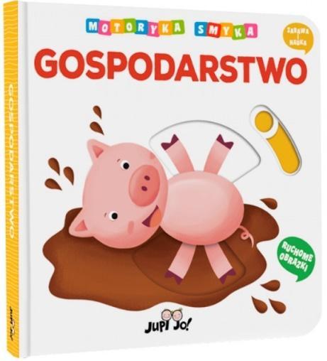 Motoryka Smyka. Gospodarstwo, praca zbiorowa