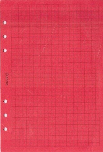 Wkład do organizera A5 kratka czerwona, Antra