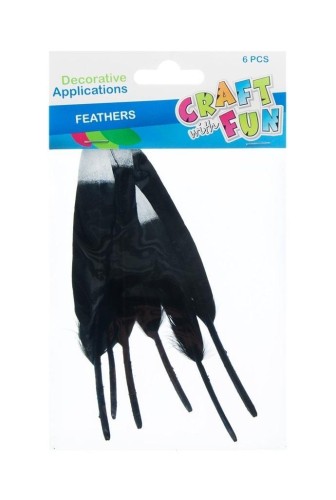 Piórka dekoracyjne czarne 6szt, Craft with Fun