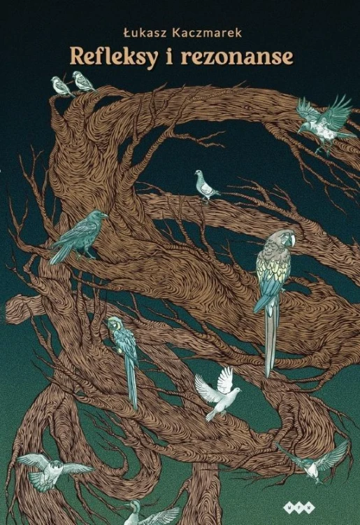 Refleksy i rezonanse, Łukasz Kaczmarek