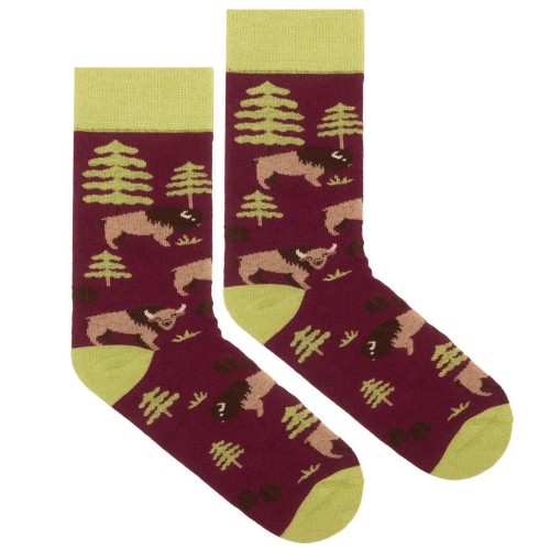 Skarpetki bawełna organiczna żubr 36-41