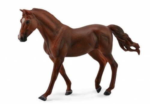 Koń Missouri Trotte Mare kasztanowaty, Collecta