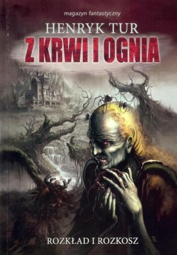 Z krwi i ognia T.1 Rozkład i rozkosz, Henryk Tur