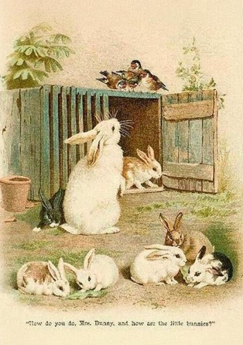 Karnet ST539 B6 + koperta Wielkanoc Króliki