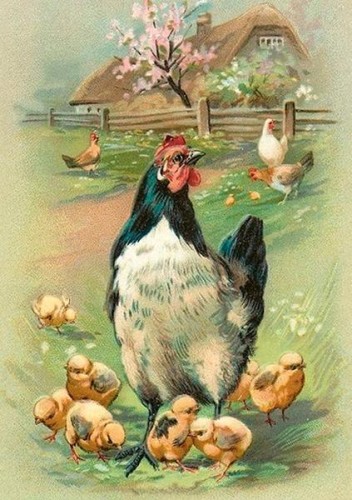 Karnet ST505 B6 + koperta Wielkanoc Kura i kurczak