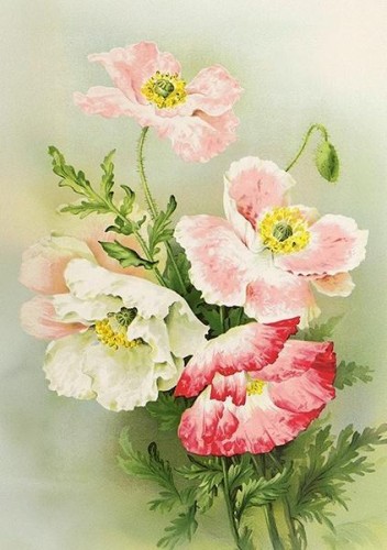 Karnet ST533 B6 + koperta Maki