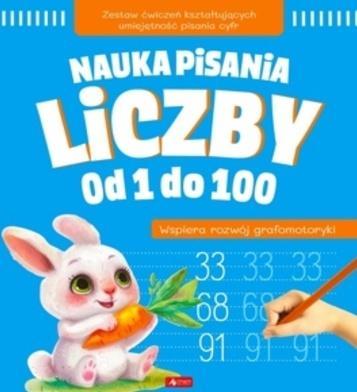 Nauka pisania. Liczby od 1 do 100, praca zbiorowa
