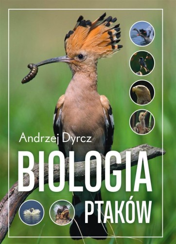 Biologia ptaków, Andrzej Dyrcz