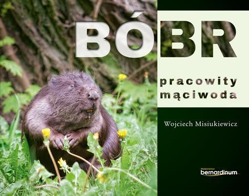 Bóbr - pracowity mąciwoda, Wojciech Misiukiewicz