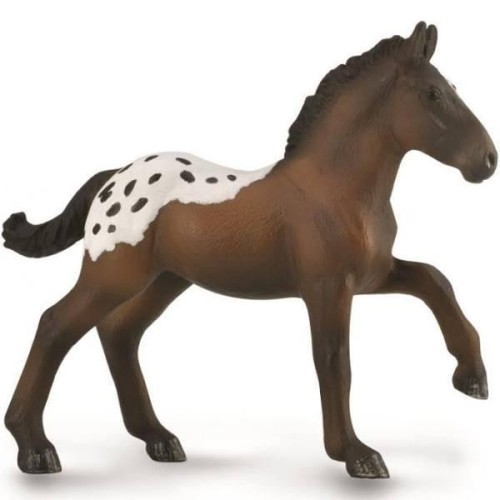 Źrebię Sugarbush Draft, Collecta